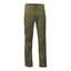 Burnt Olive Green