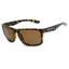 Brown Polarized W/silver Flash