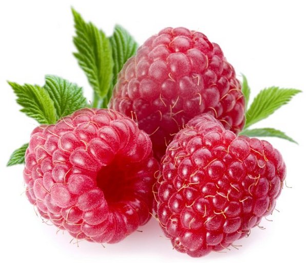 raspberry_gold_meeker_red_raspberry_seed_p683.jpg